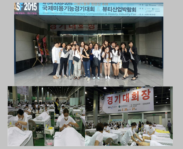 2015KASF경진대회-스킨.png