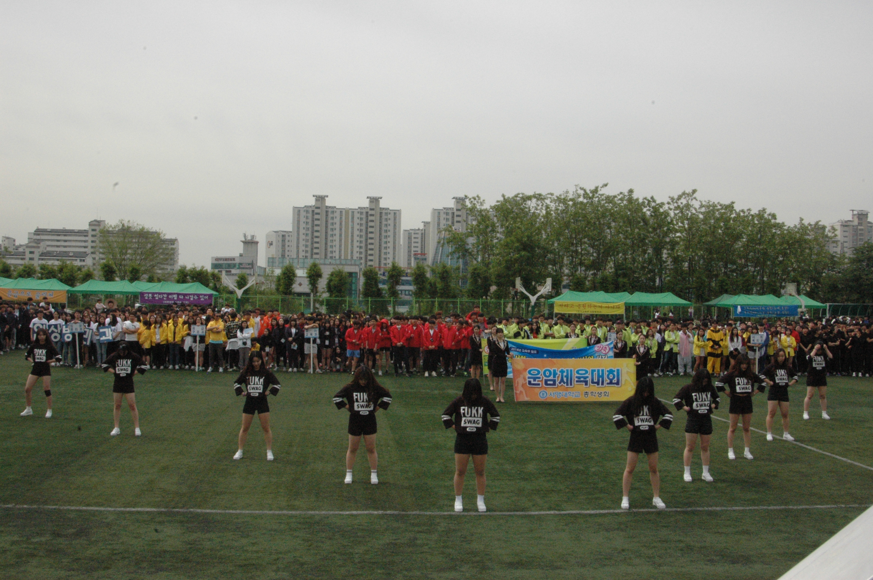 DSC_8687.JPG