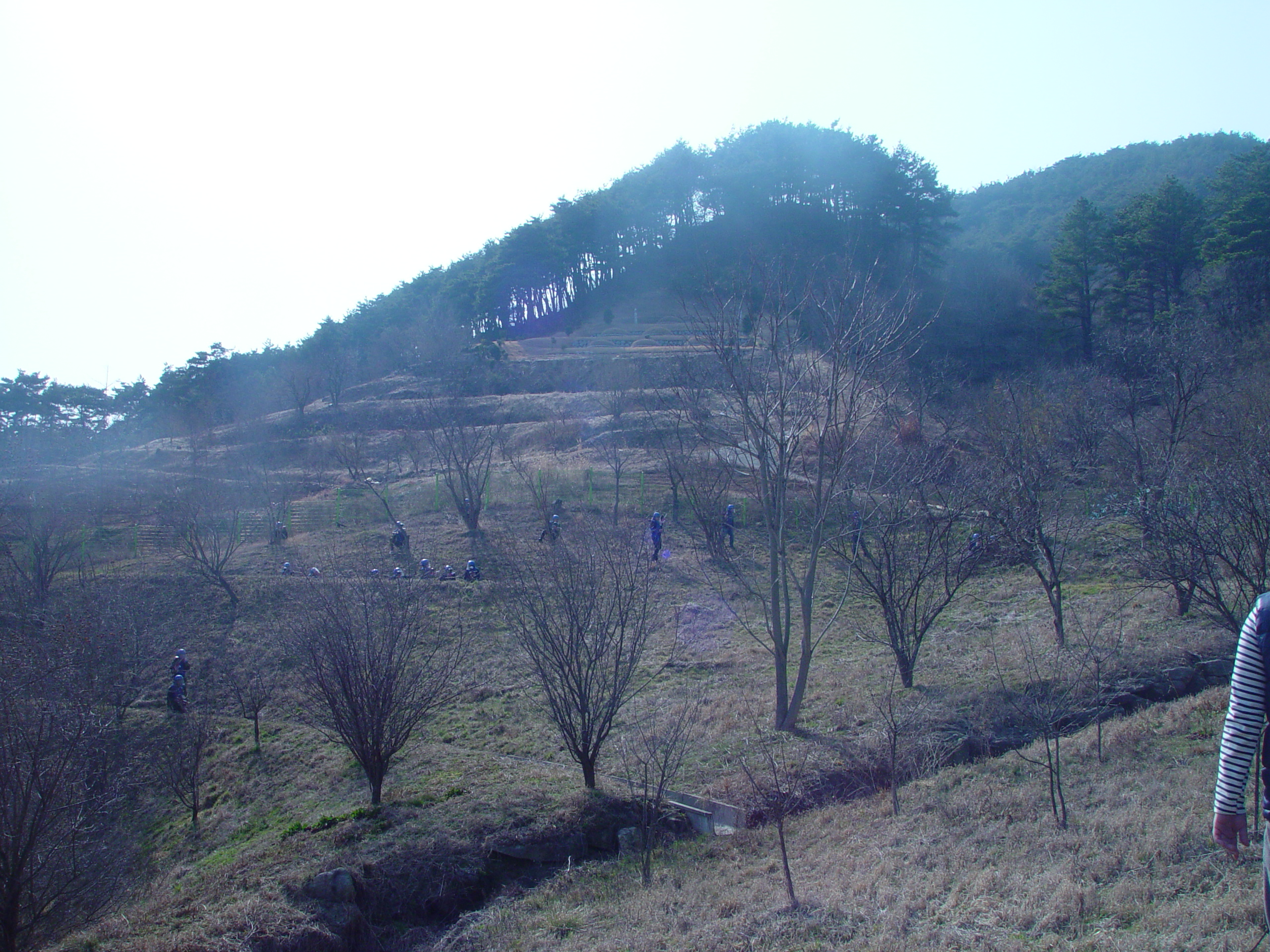 DSC01100.JPG