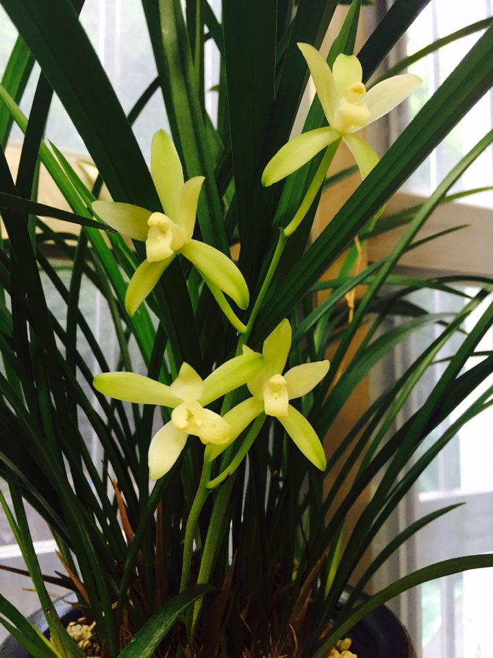 KakaoTalk_20160825_093828103.jpg