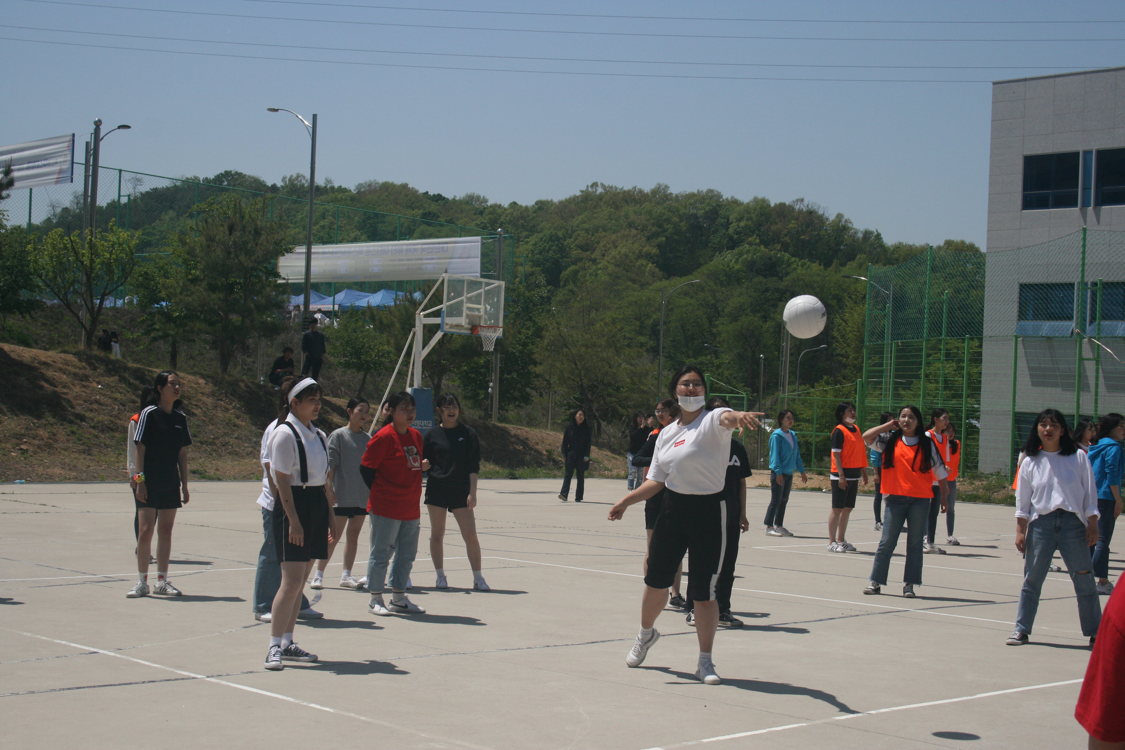 IMG_7953.JPG
