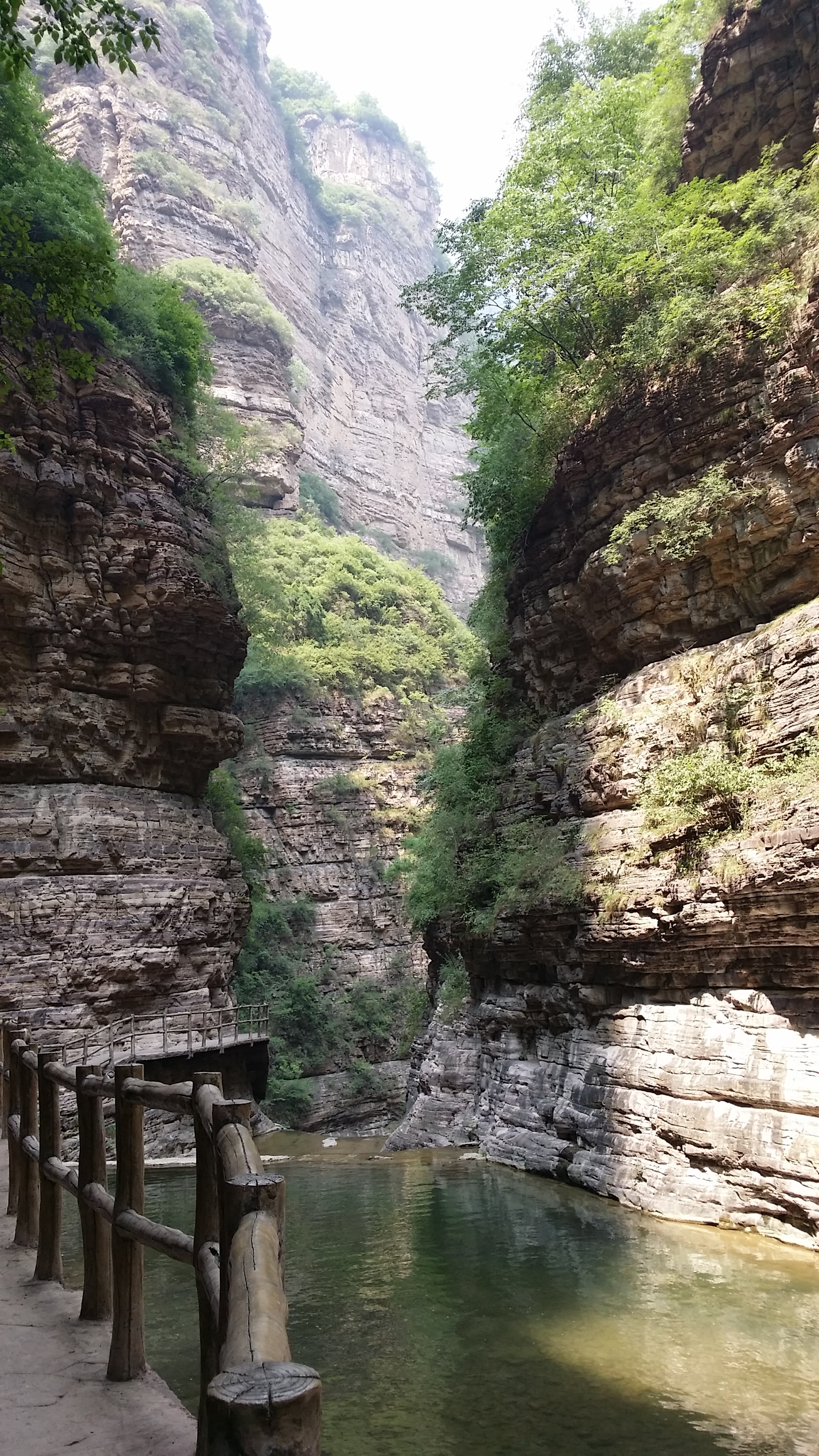 20150619_140148.jpg