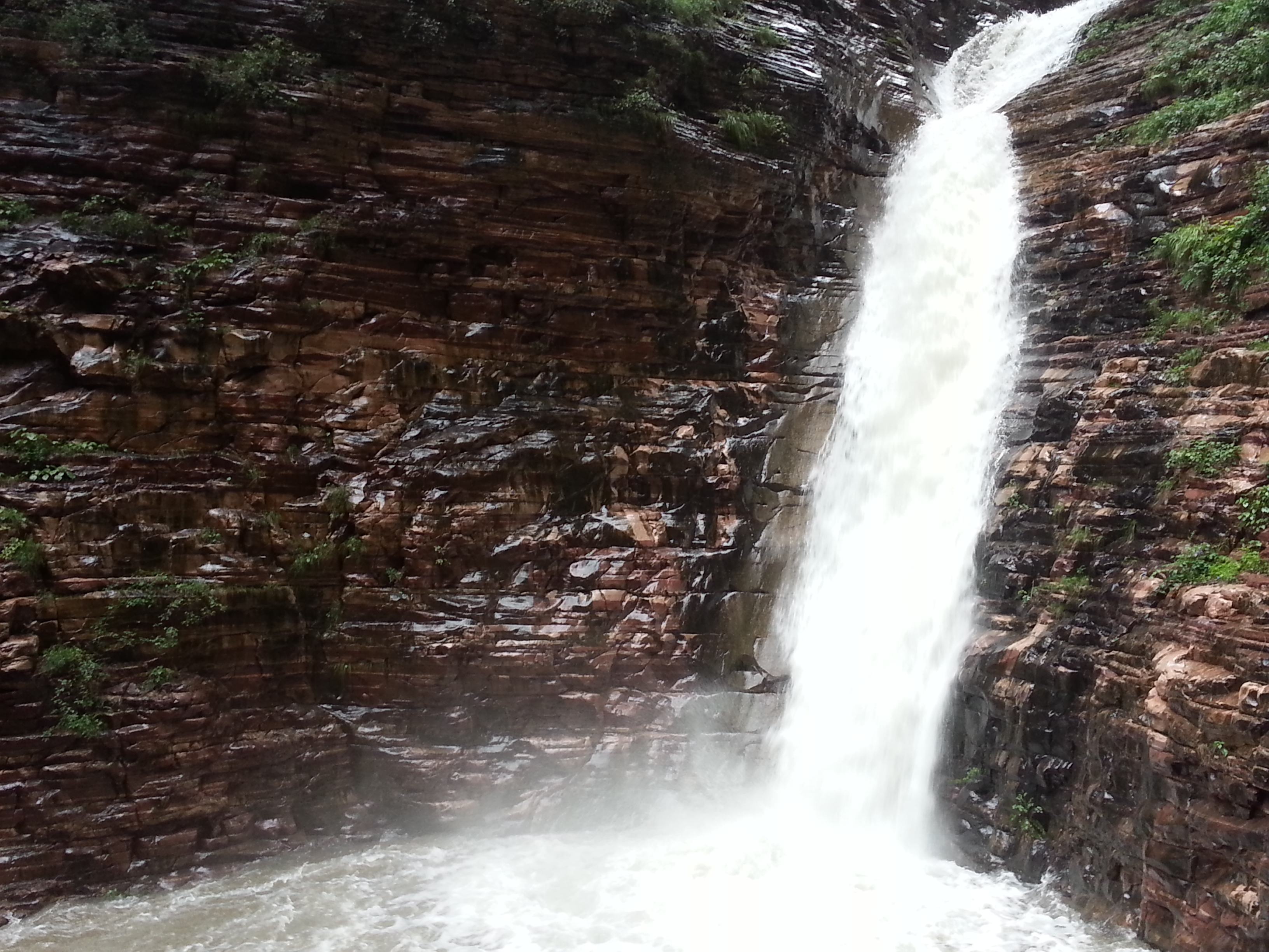20160709_094011.jpg