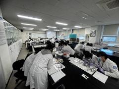 2025 Annual Mouse Dissection Lab-6.jpg