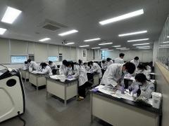 2025 Annual Mouse Dissection Lab-5.jpg