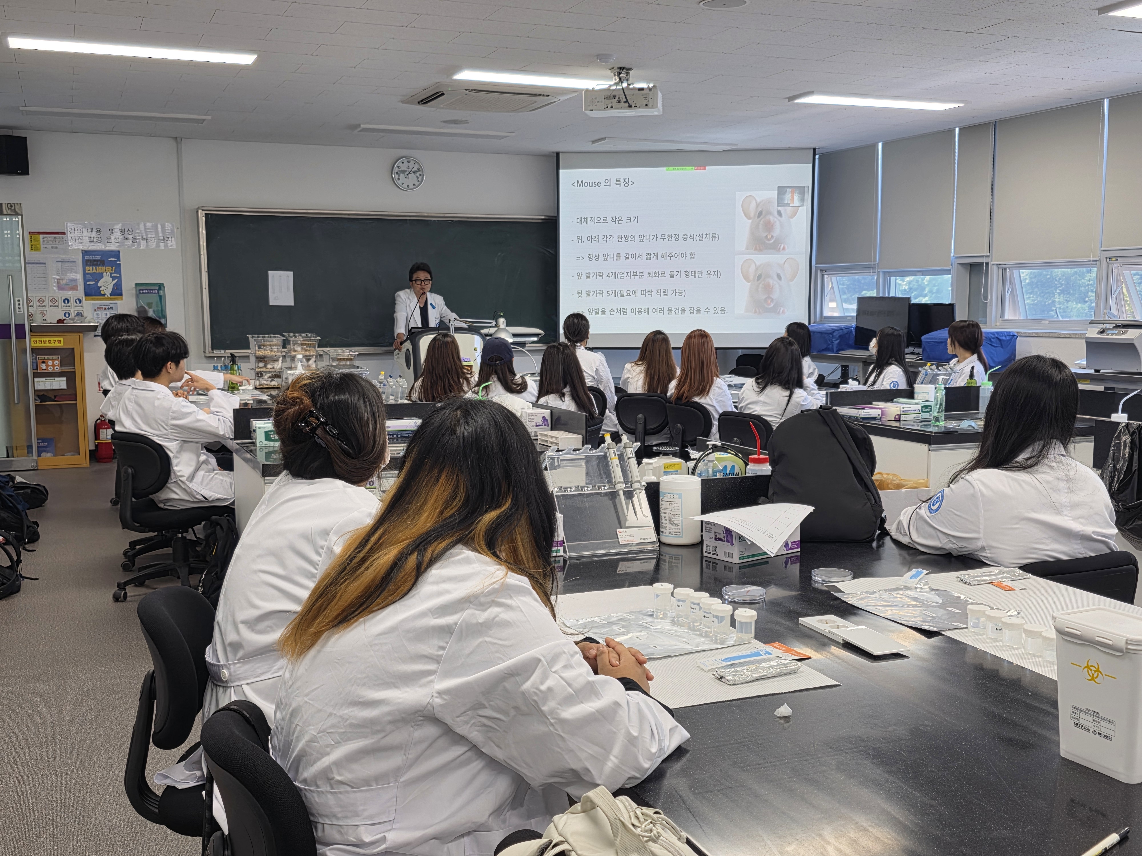 2026 Annual Mouse Dissection Lab