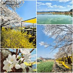 KakaoTalk_20250414_173529850_05.jpg